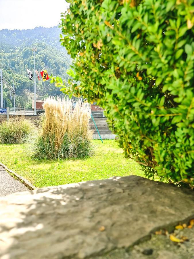 Kreuz Apartment - Aare Jungfrau Ag Wilderswil Exteriér fotografie